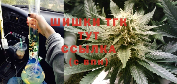 дживик Надым