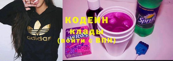 дживик Надым