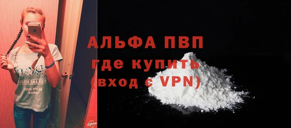 дживик Надым