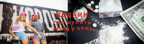 дживик Надым